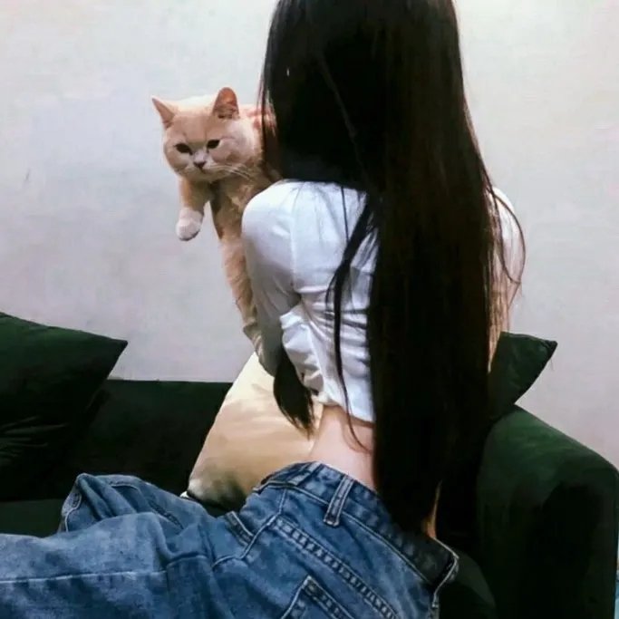 蜻蜓